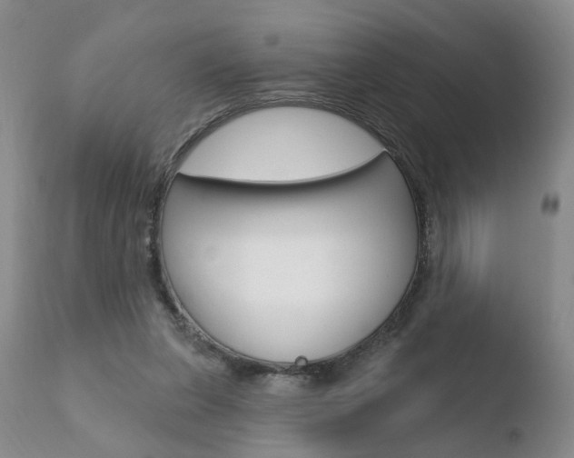 X0000110760255200906150936