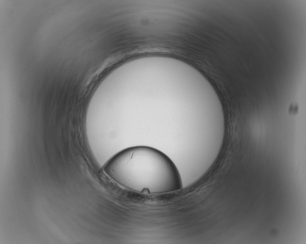 X0000110760256200906150936