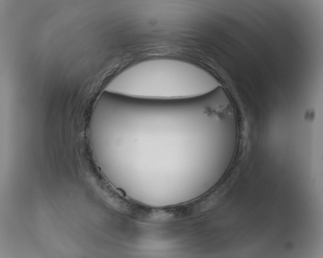 X0000110760257200906150936