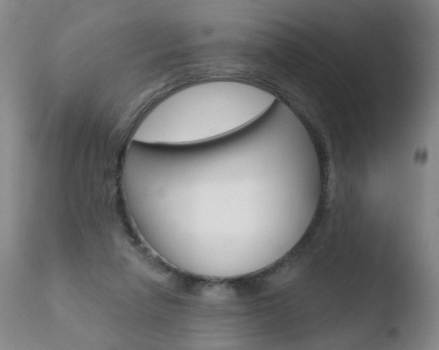 X0000110760258200906150936