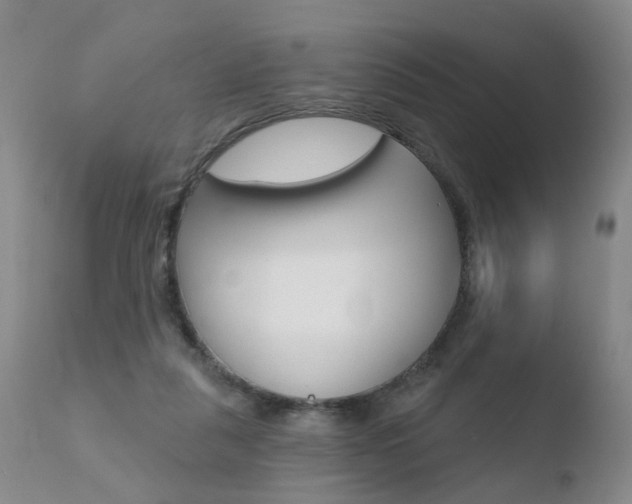 X0000110760259200906150936