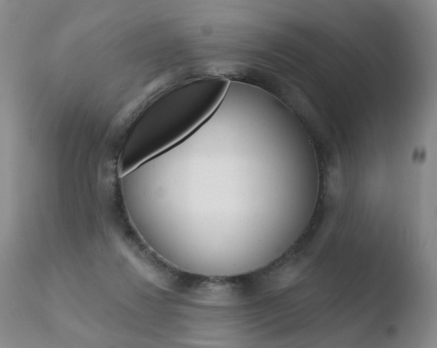 X0000110760260200906150936