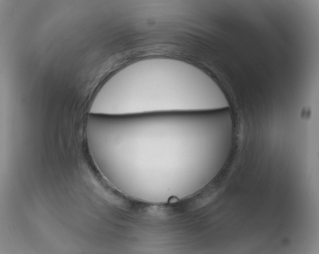 X0000110760261200906150936