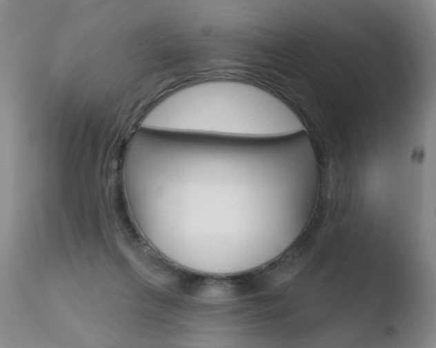 X0000110760263200906150936