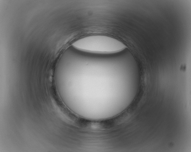 X0000110760264200906150936