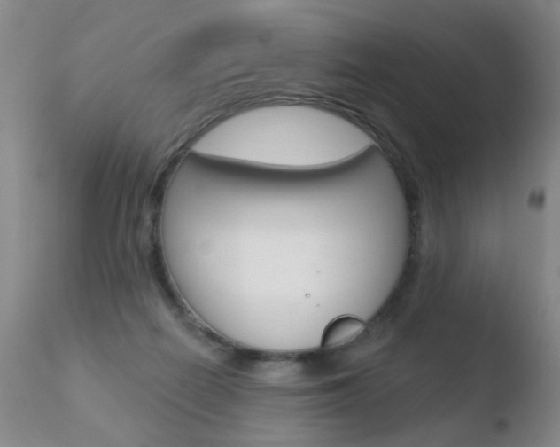 X0000110760266200906150937