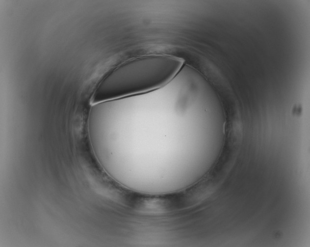 X0000110760268200906150937