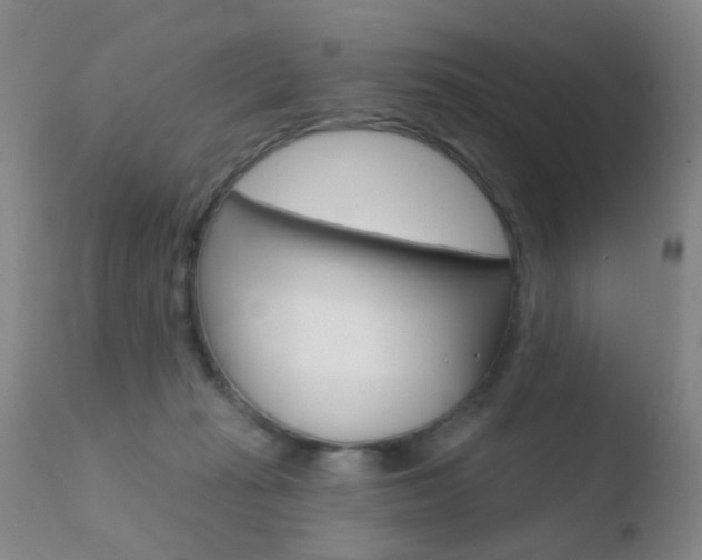 X0000110760269200906150937
