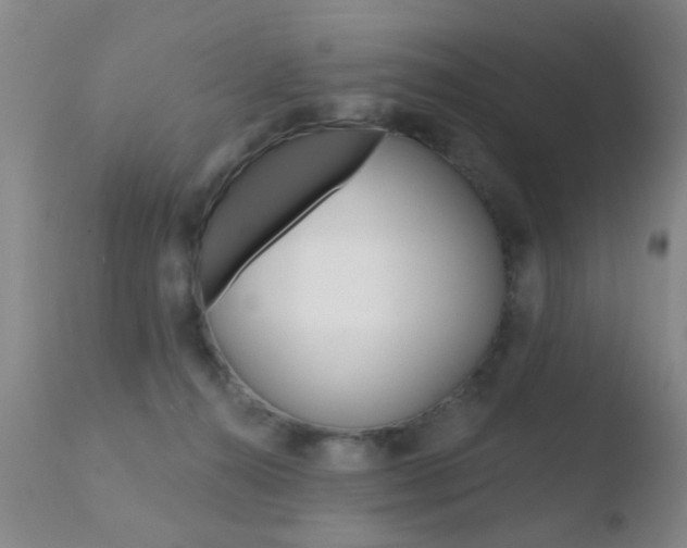 X0000110760272200906150937