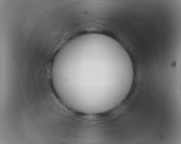 X0000110760273200906150937