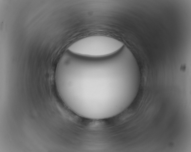 X0000110760274200906150937