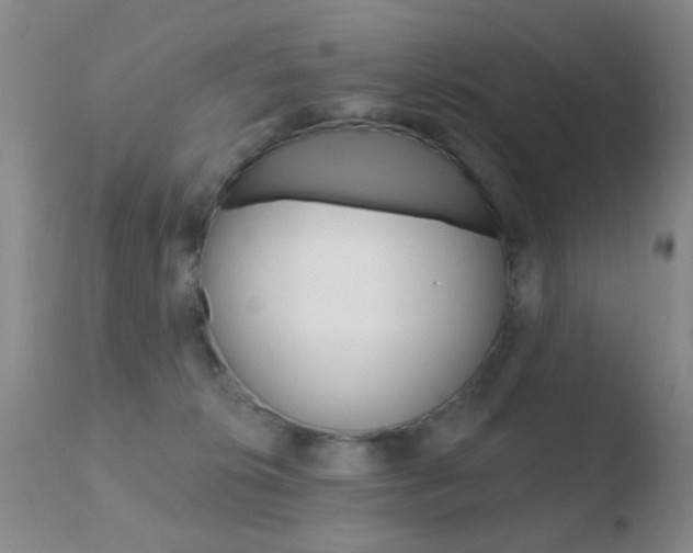 X0000110760276200906150937