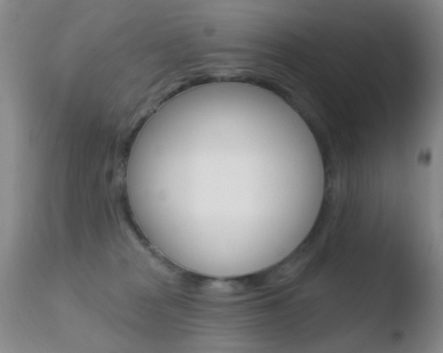 X0000110760277200906150937