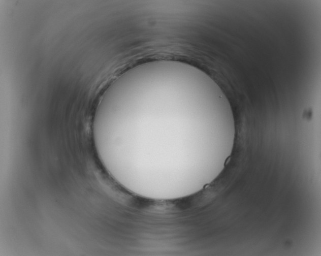 X0000110760278200906150937
