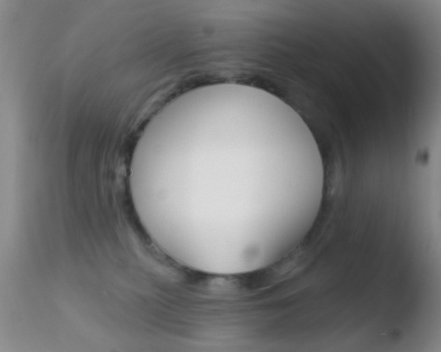 X0000110760279200906150937