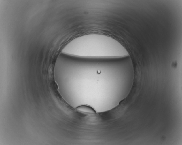 X0000110760280200906150937