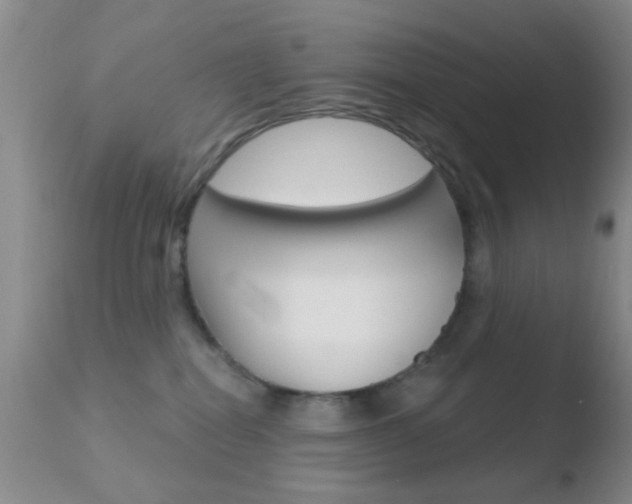 X0000110760282200906150937