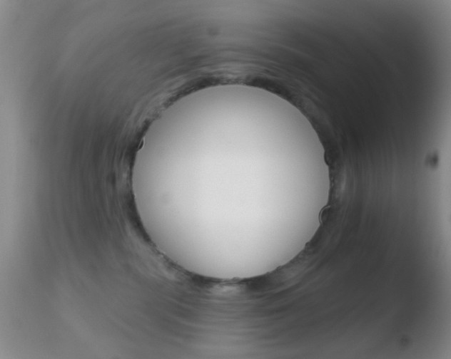 X0000110760283200906150937