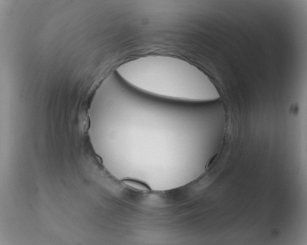 X0000110760285200906150937