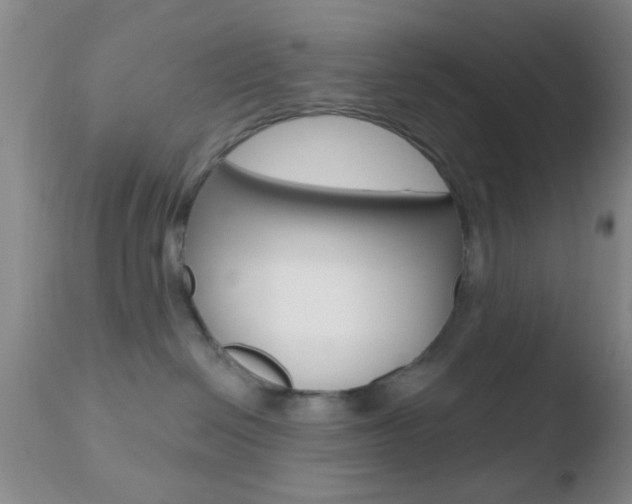 X0000110760286200906150937