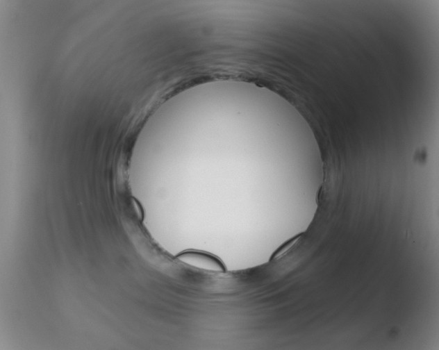 X0000110760287200906150937