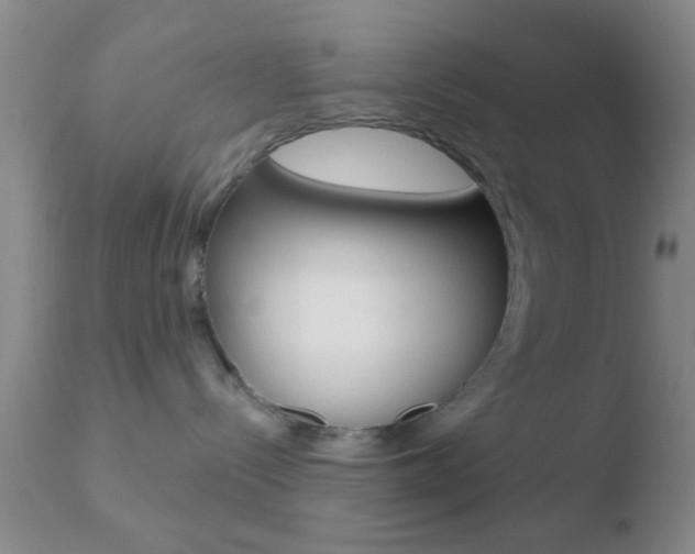X0000110760288200906150937