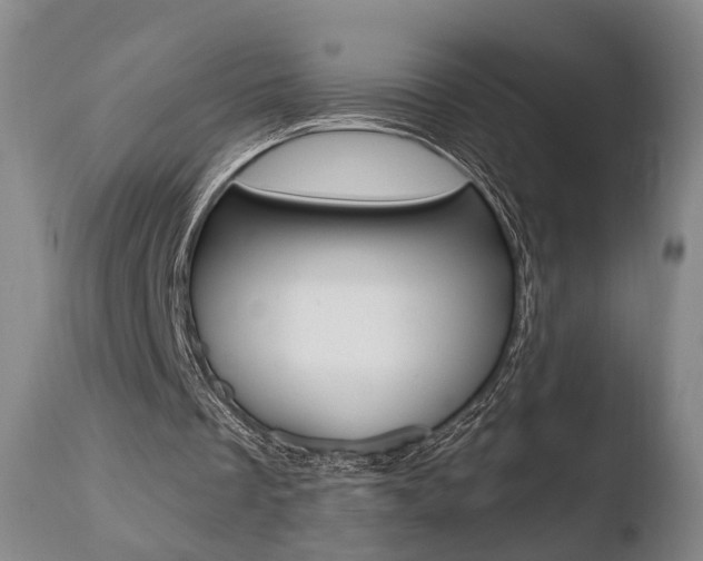 X0000110760289200906150936