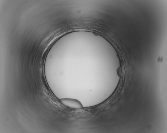 X0000110760290200906150936