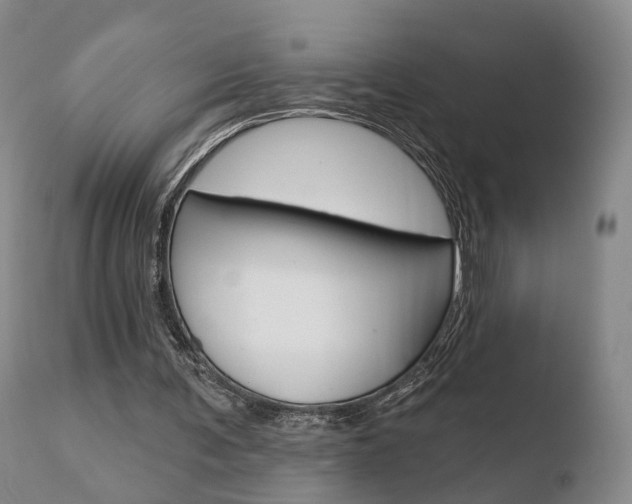 X0000110760291200906150936