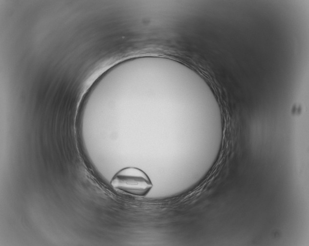 X0000110760292200906150936