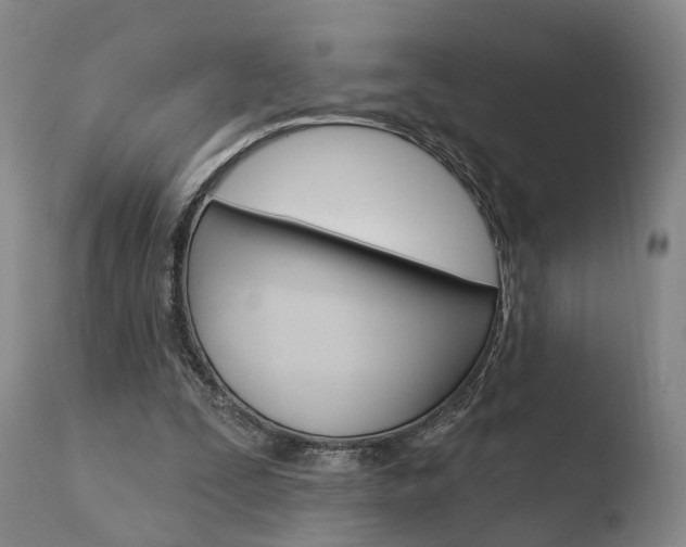 X0000110760295200906150936