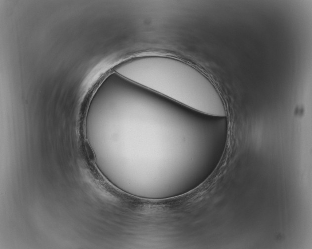 X0000110760296200906150936
