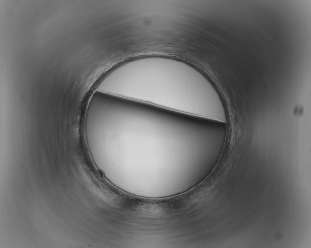 X0000110760299200906150936