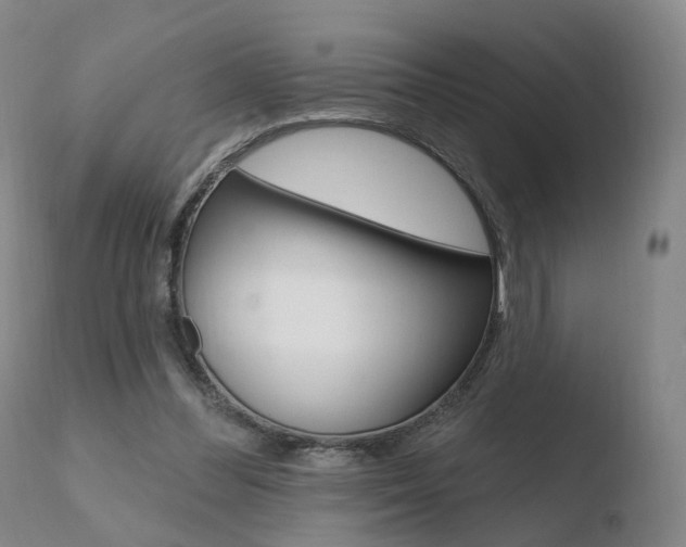 X0000110760300200906150936