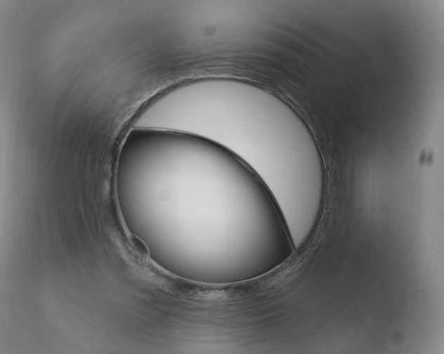 X0000110760301200906150936