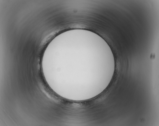 X0000110760302200906150936