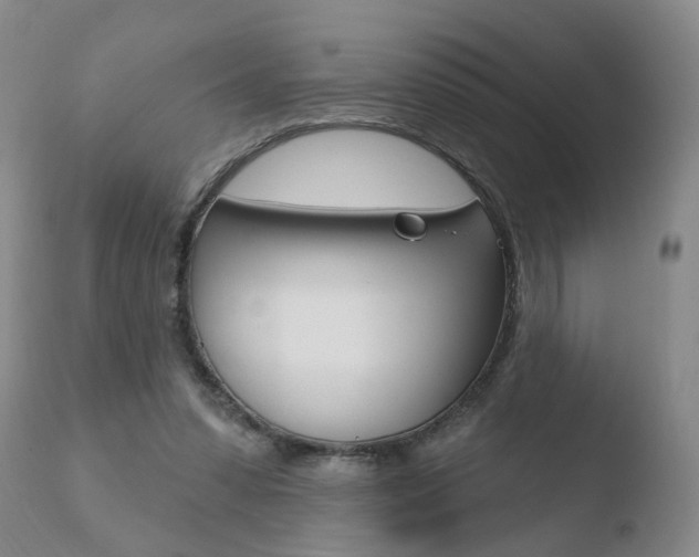 X0000110760303200906150936