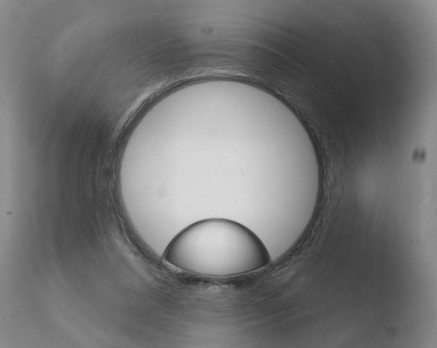 X0000110760304200906150936