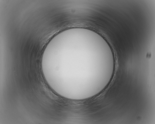 X0000110760305200906150936