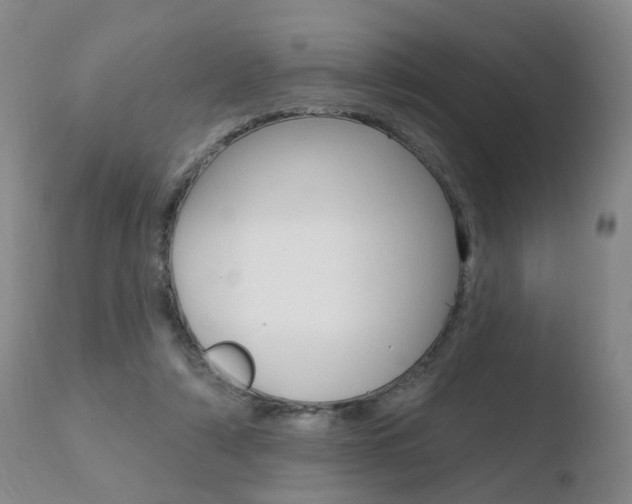 X0000110760306200906150936