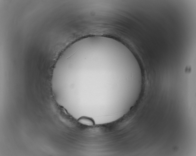 X0000110760307200906150936