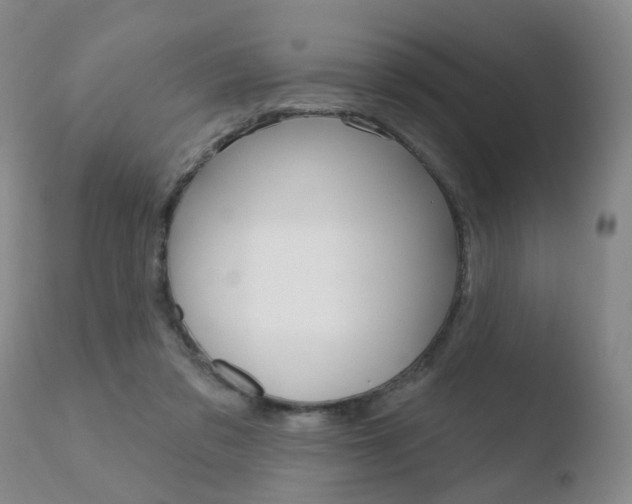 X0000110760309200906150936