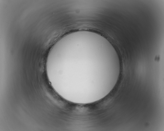 X0000110760311200906150936