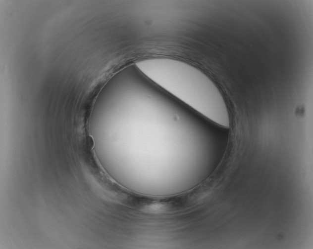 X0000110760312200906150936