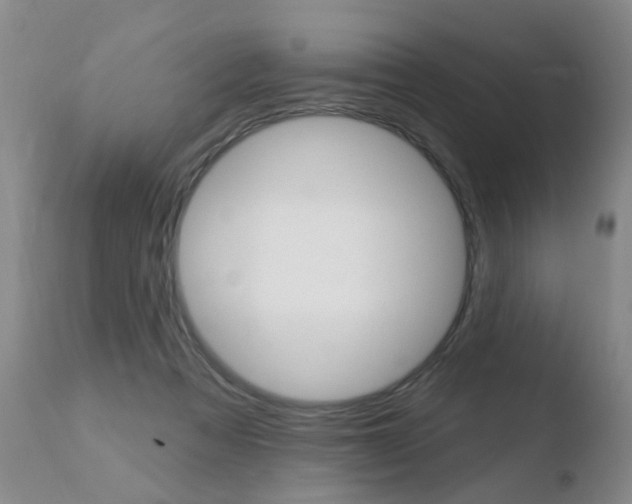 X0000110760313200906150936