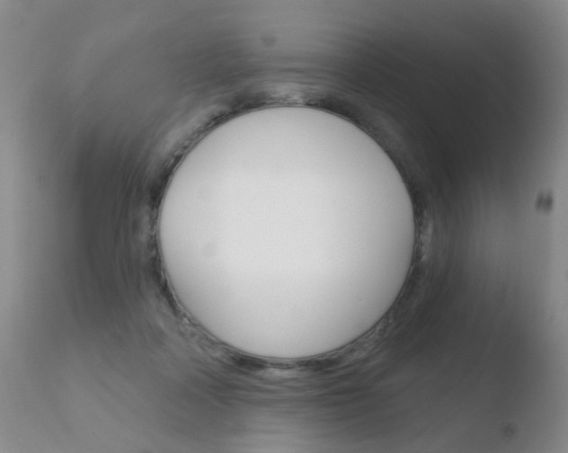 X0000110760314200906150936