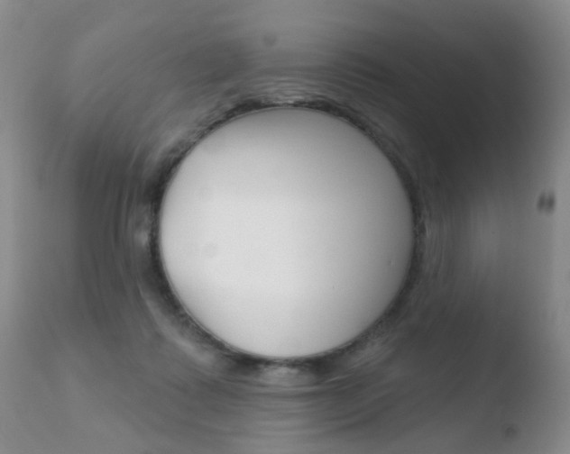 X0000110760315200906150936