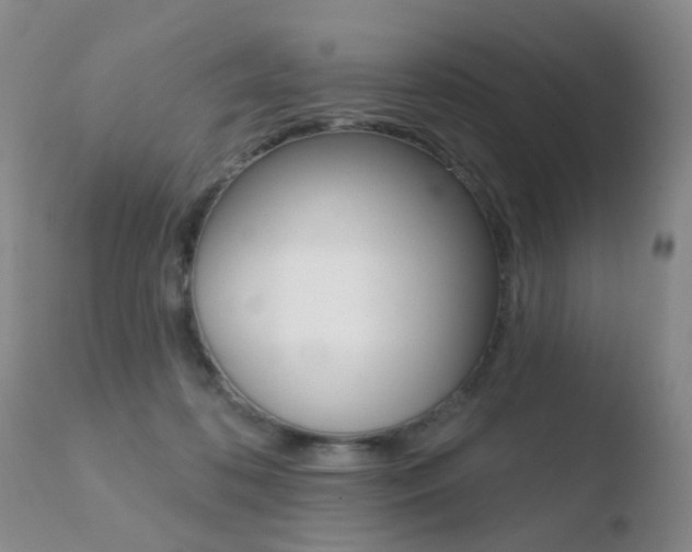 X0000110760316200906150936
