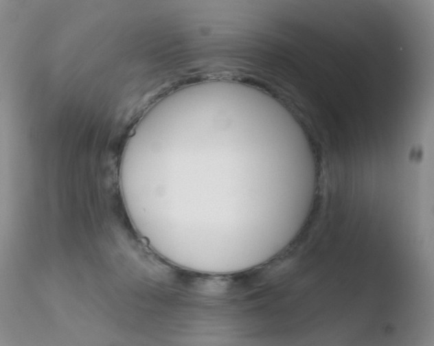 X0000110760318200906150936