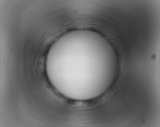X0000110760319200906150936